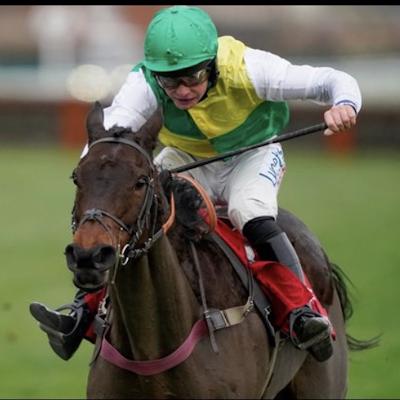 Pauls Racing Tips 
